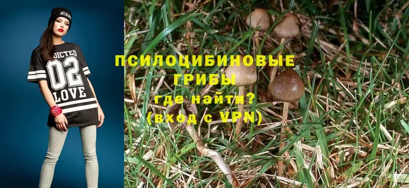 Галлюциногенные грибы MAGIC MUSHROOMS  Аркадак 